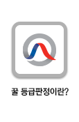 꿀등급판정이란